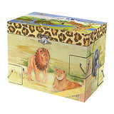 Leopard Treasure Box